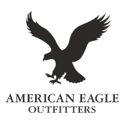 American Eagle - Amir Construction Services partners
